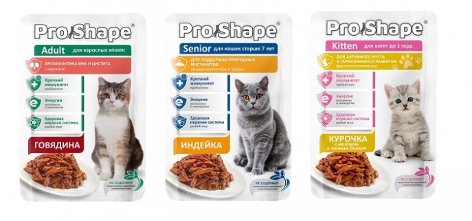 Корм для кошек и котят